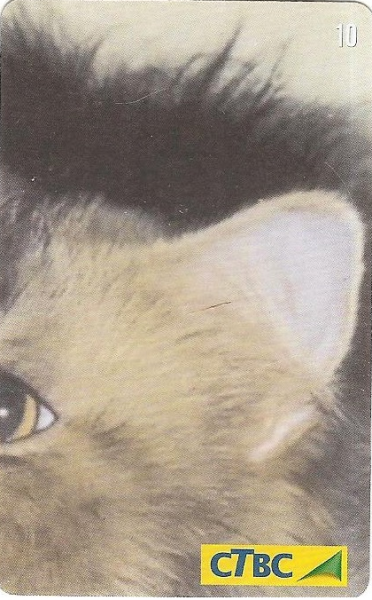 Gato de Luxo 2/4