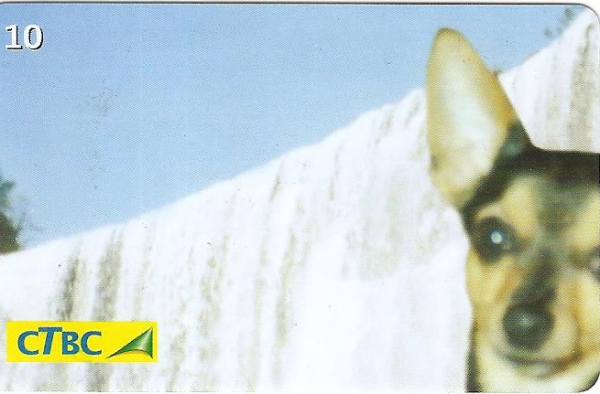Pinscher nº 1