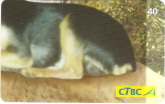 Pinscher nº 4